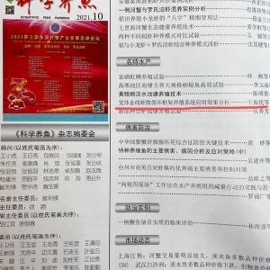 资质荣誉