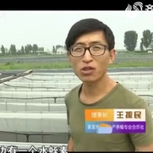 资质荣誉